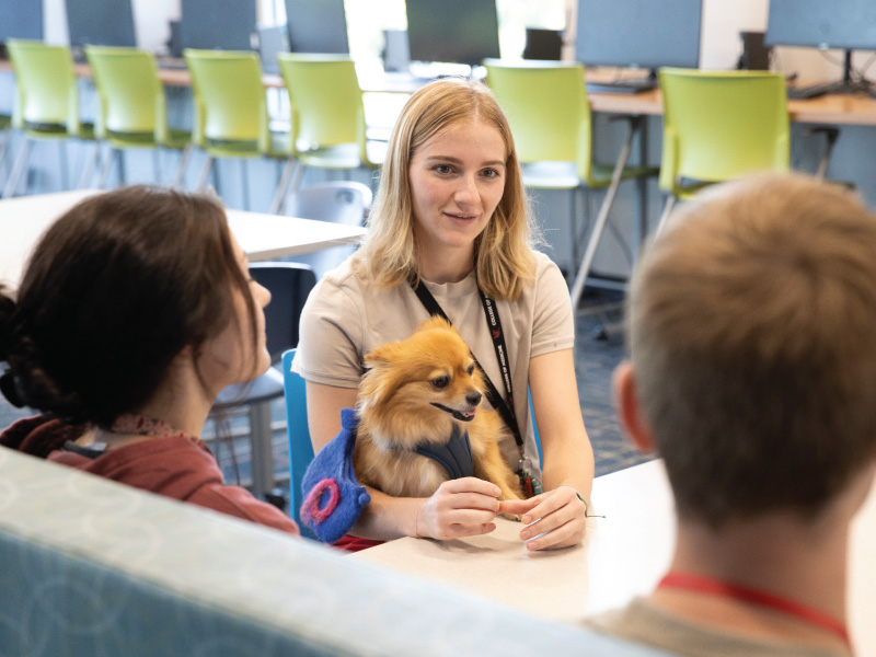 A student with a dog sitting on her lap talking with two other students.